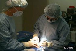 plastic surgery long island | Dr. Elliot Duboys